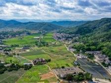 一砖一瓦，为广东乡村振兴打造最美“舞台”｜“三农”新飞跃