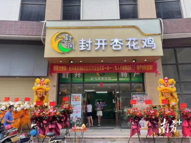 封飞凤公司首家杏花鸡体验店落地肇庆。