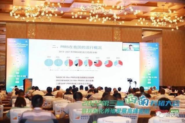 蔡雪辉：防控PRRS管控是关键，免疫是手段，净化与根除是目的