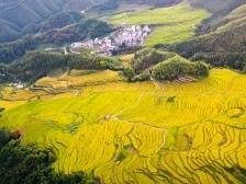 农行广东分行：注强劲金融动能，显大行责任担当