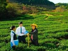 广州农商银行：支持实体出实招，助企纾困促发展