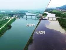 杨阿洋快评〡生态画卷里的广东