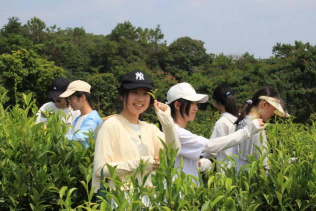 多彩乡村调研进行时⑪
