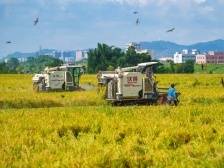 用好改革关键招，激发乡村新活力｜“三农”新飞跃