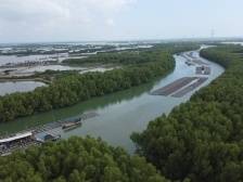 “生态美，村民富”！绿色成为乡村振兴最亮底色 |镇里来了工作队