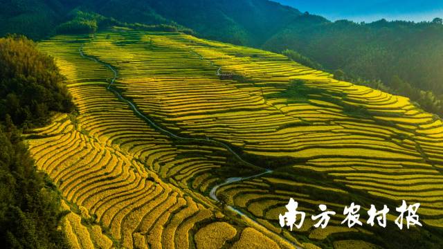 秋天里的连山梯田，仿佛一个纯净的童话世界。