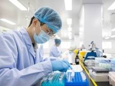 方寸之地生物岛，何以迸发大能量？