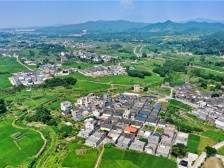 粤协商越民主｜5年调研约600个村镇，他们提出哪些“金点子”？