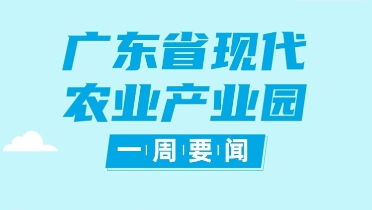 聚集资源、聚拢人气、聚合力量！广东以产业园打造产业集聚地|广东现代农业产业园一周要闻㉘