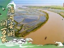 江河奔腾看中国丨 千里淮河通江海，一水安澜润万家