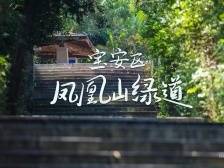 穿“阅”绿道 | 凤凰山绿道：听潇潇风声与清脆鸟鸣，自由自在林间回荡