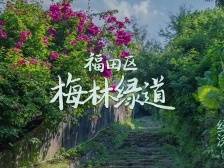 穿“阅”绿道 | 梅林绿道：一半边防旧迹，一半都市繁华