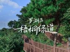 穿“阅”绿道 | 梧桐绿道：开启一场山野间的治愈之旅