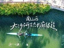 穿“阅”绿道 | 大沙河生态长廊绿道：创新与人文碰撞出的独特深圳风景线