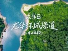 穿“阅”绿道 | 龙华环城绿道（大水坑段）：许你一个五彩斑斓的白日梦