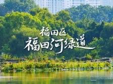 穿“阅”绿道 | 福田河绿道：隐匿在深圳中心区的“都市绿洲”