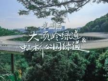 穿“阅”绿道 | 大顶岭绿道和虹桥公园：探寻科学城中的绿野仙踪