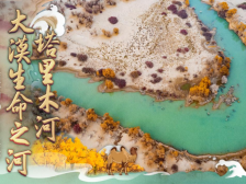 走进大美新疆，探寻大漠生命之河——塔里木河