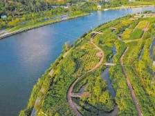 好环境带来家门口好风景，绿色成广东高质量发展鲜明底色