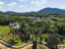 汕尾：村民在“家门口”实现就业增收