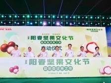 香飘春城！首届阳春坚果文化节成功举办 | 阳春市夏威夷果产业园系列报道⑯