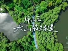 穿“阅”绿道 | 大山陂绿道：在浮光缤纷中醉享清风