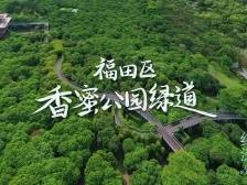 穿“阅”绿道 | 香蜜公园绿道：带你走出精神内耗的都市绿洲