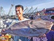 粤迈向更高质量更高水平区域协调发展