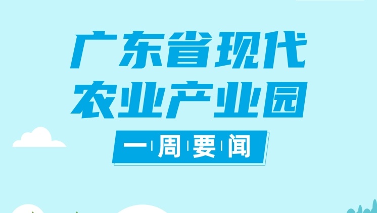 非凡十年！广东以产业园建设推动农业从小散弱向集约化转变|广东现代农业产业园一周要闻㉙
