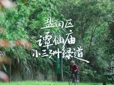 穿“阅”绿道 | 小三洲绿道：听着风吹树叶，感受大自然的灵气与己共融