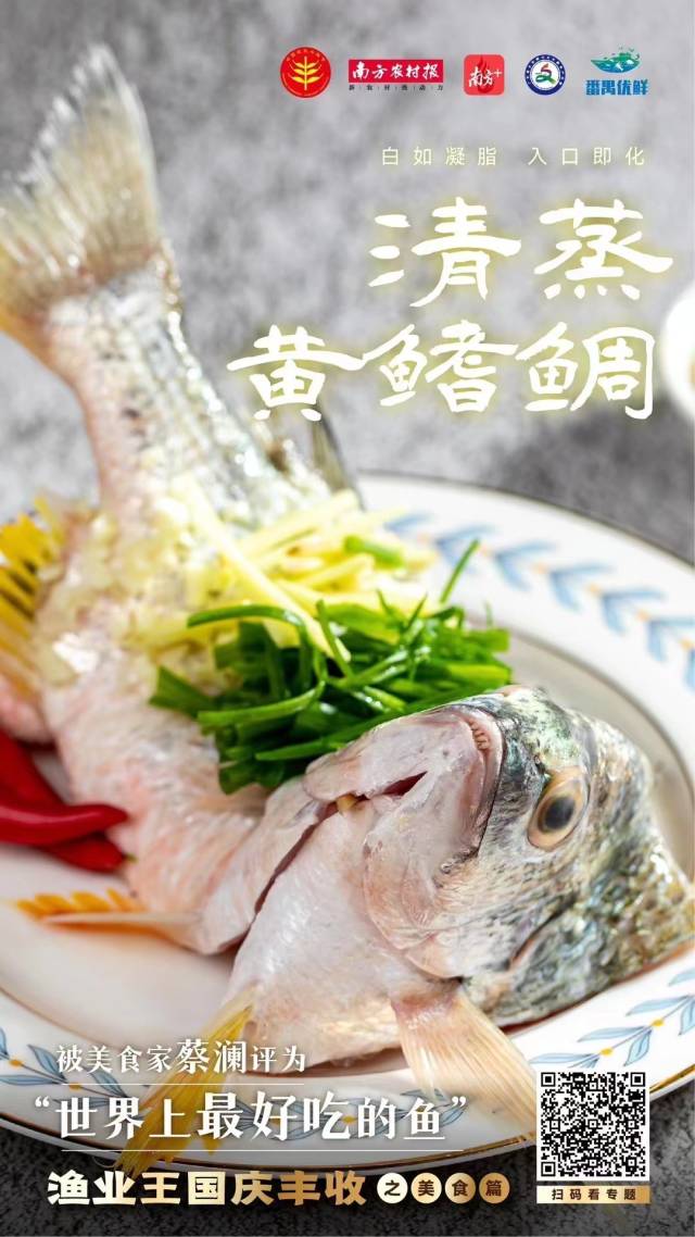 创意海报丨番禺名优鱼虾，大湾区美食担当！
