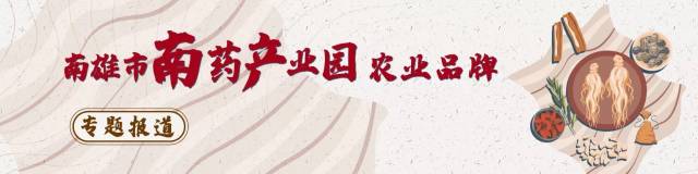 南雄：南国生百草，药业结硕果