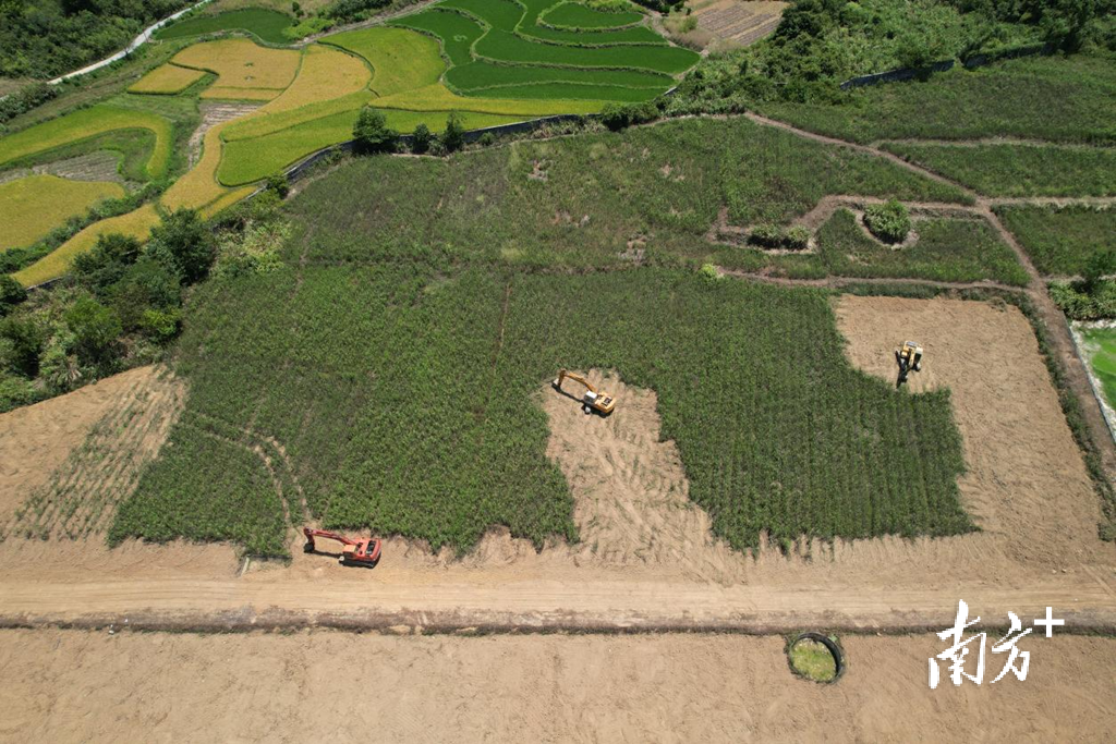荒地开荒复种中 荒地开荒复种中