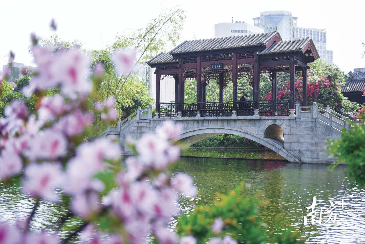 近年来，禅城区对梁园等景区进行升级改造，构建岭南文脉轴线。 南方+ 戴嘉信 拍摄
