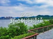 穿“阅”绿道 | 环立新湖绿道：意趣盎然中，打卡宝安滨水生态新体验