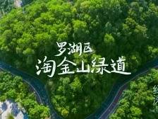 穿“阅”绿道 | 淘金山绿道：高楼林立间蜿蜒而来的活力之旅