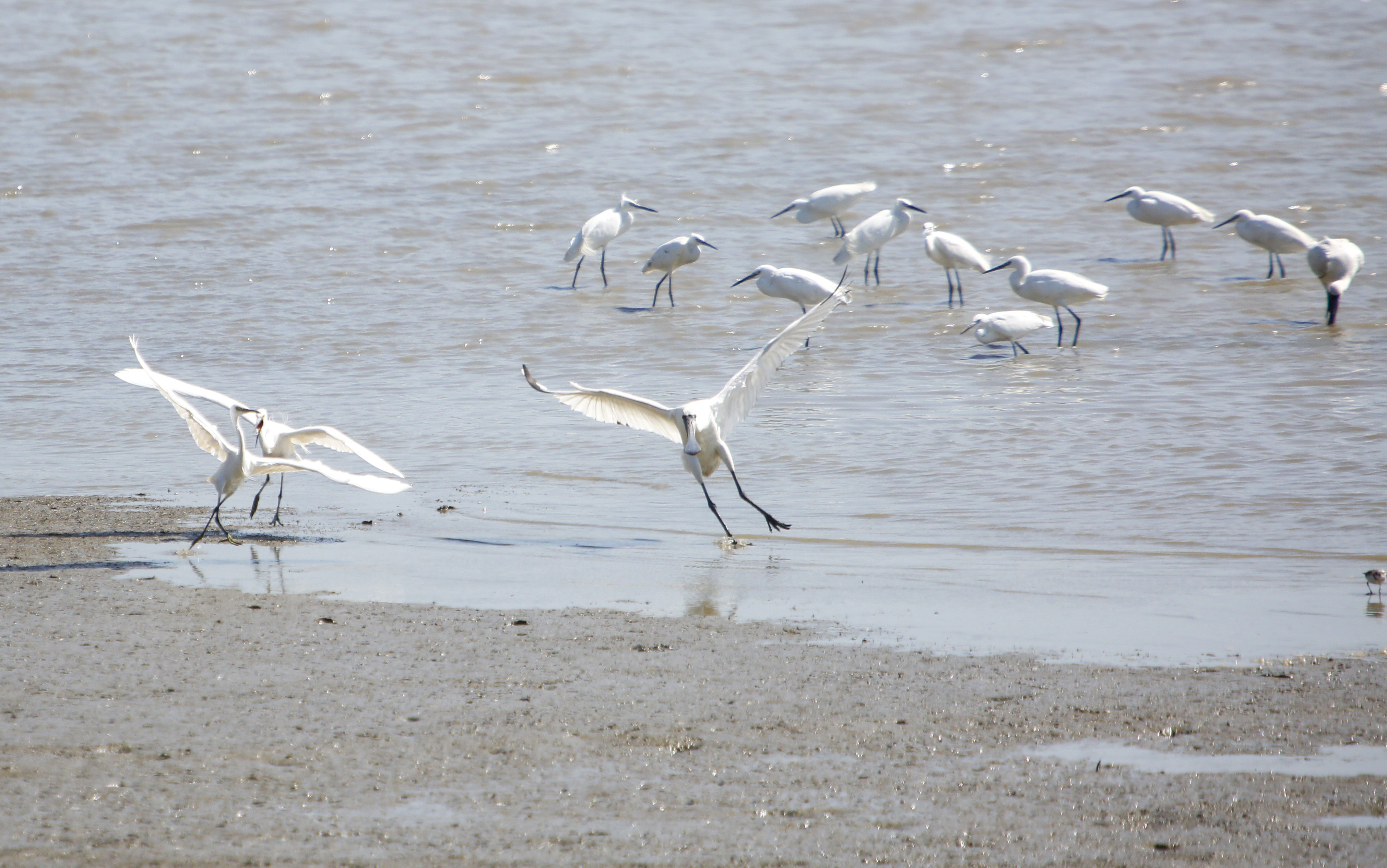 南方日报记者 鲁力 摄