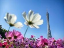 发挥政治引领作用！广东举行市域社会治理现代化试点创新研讨班