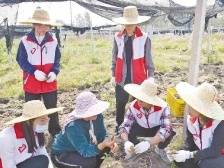 广东创新实施志愿服务乡村振兴行动，南粤乡村注入青春动能