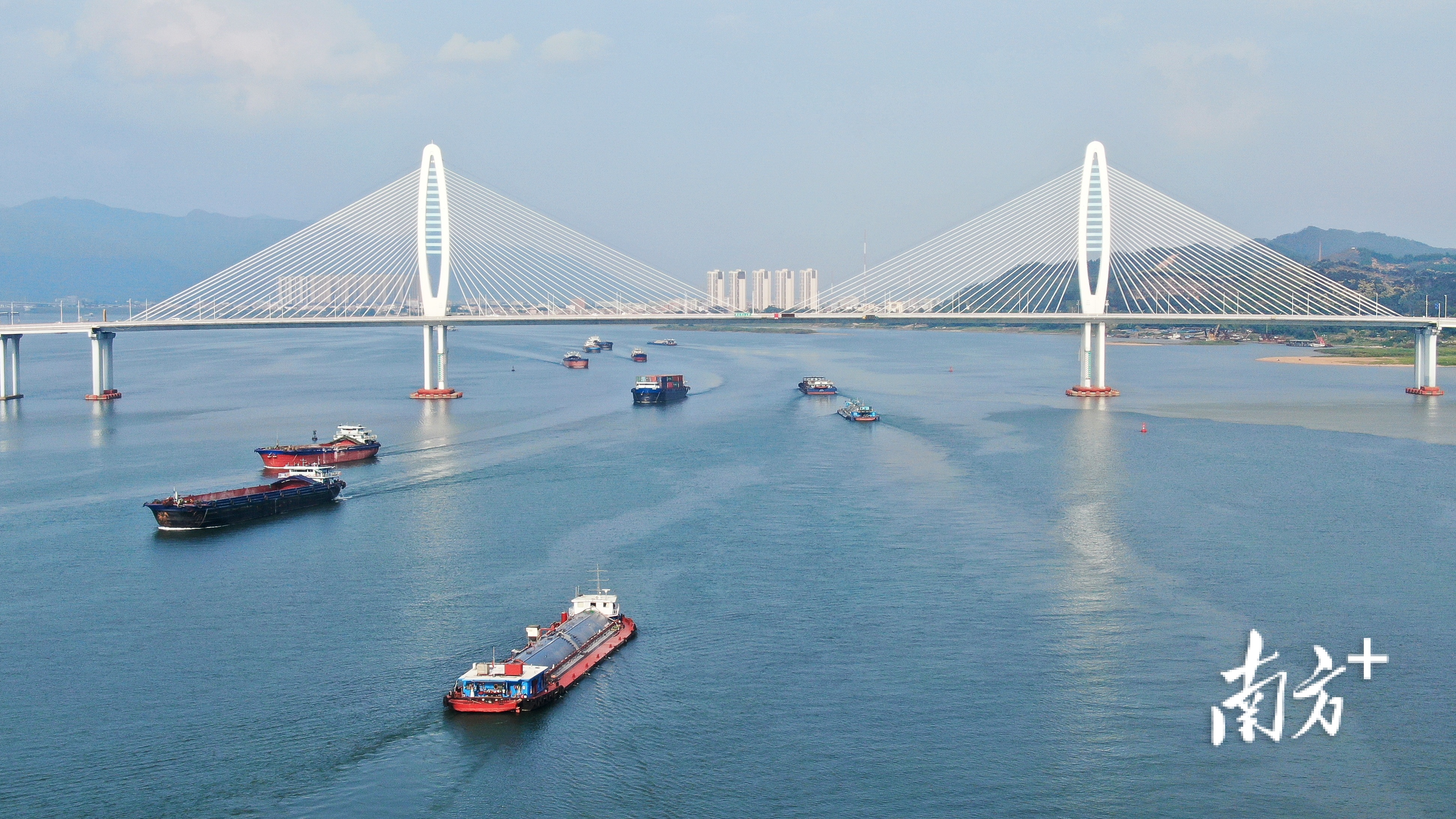 阅江大桥。吴勇强 摄