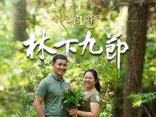 林更绿，民更富！老兵化作“新农人”，赋能粤北南岭林下生态富民路