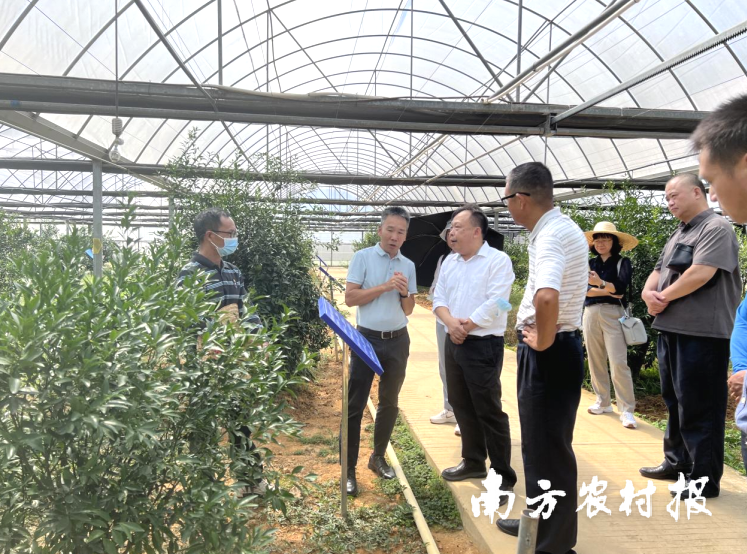 广东省农科院党委书记廖森泰带队赴新会区开展定点联系工作