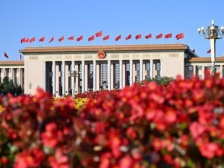 习近平强调，坚定不移全面从严治党，深入推进新时代党的建设新的伟大工程