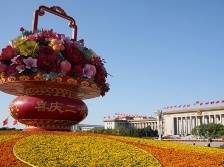 二十大报告寄语广大青年