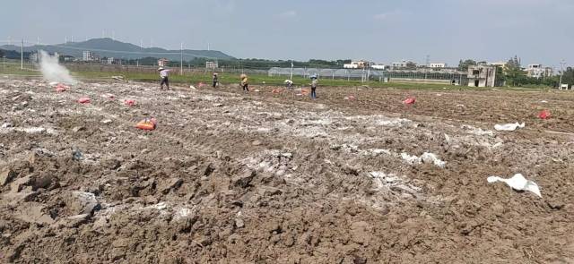 种植前用石灰对土壤进行消毒处理