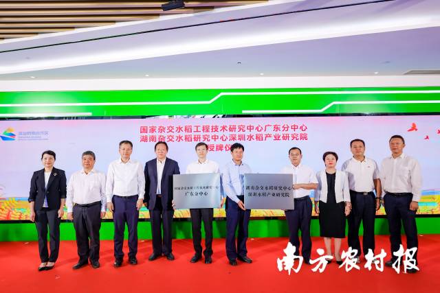 共同推进种业振兴！国家杂交水稻工程技术研究中心广东分中心落户深汕