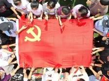 【央视快评】在党的旗帜下团结成“一块坚硬的钢铁”