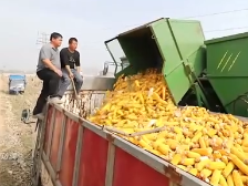 焦点访谈丨凝心同奋斗，聚力启新程