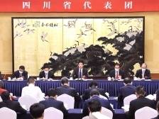 栗战书参加党的二十大四川代表团讨论