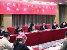 韩正参加党的二十大海南代表团讨论